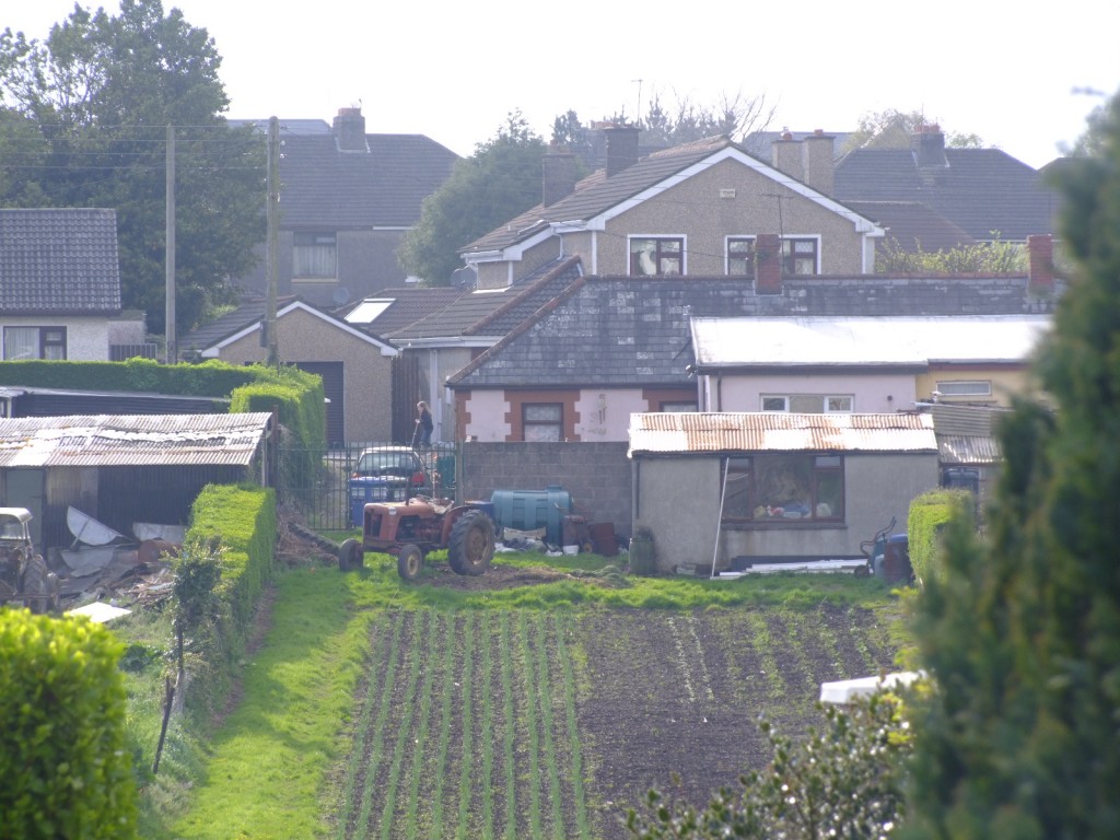 Glencoo Market Garden