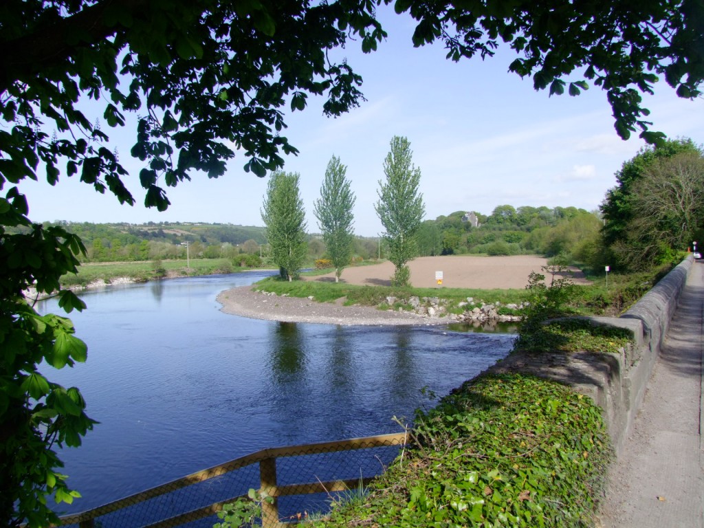 541b. River Lee at Leemount Bridge, May 2010