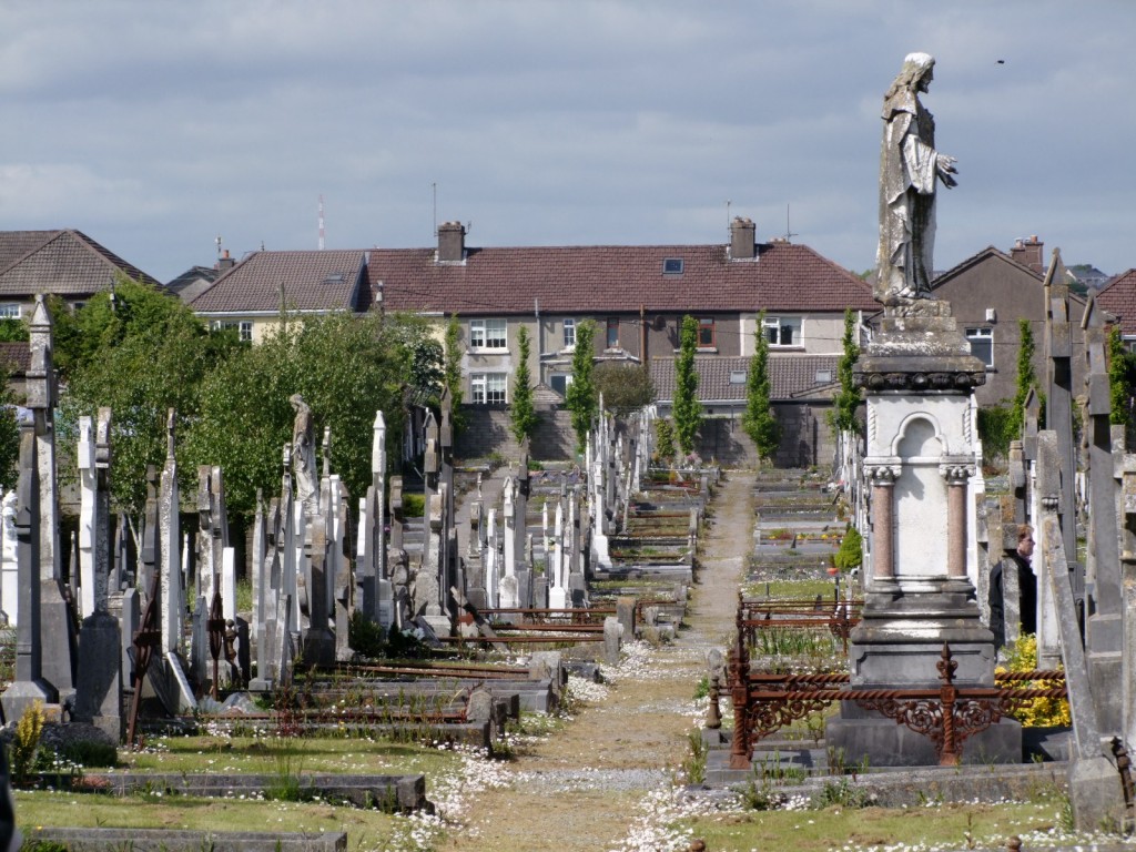 Part of the iconic St Joseph's Cemetery, Cork 