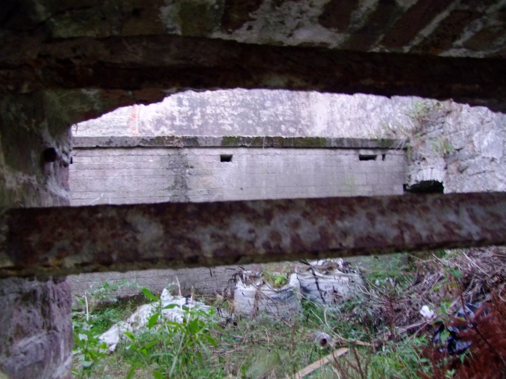 South Parish historical trail launch, World War II bunker at Elizabeth Fort, 16 September 2010