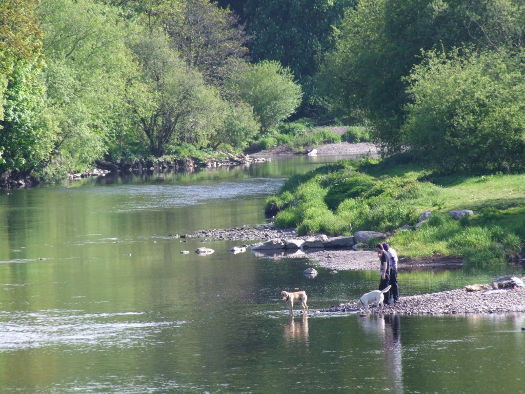 558b. River Lee upstream before Leemount Bridge, Cork