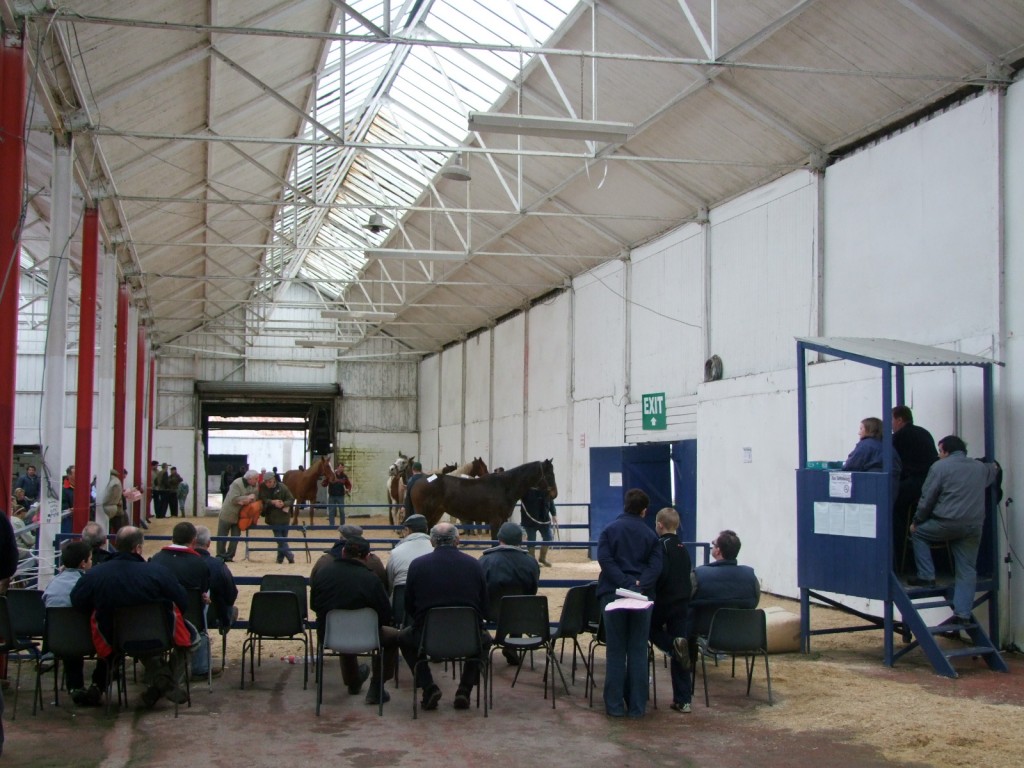 579b. Lee Hall of Cork Showgrounds, formerly the Industrial Hall at the Irish Industrial and Agricultural Fair 1932, Carrigrohane Straight Road, Cork