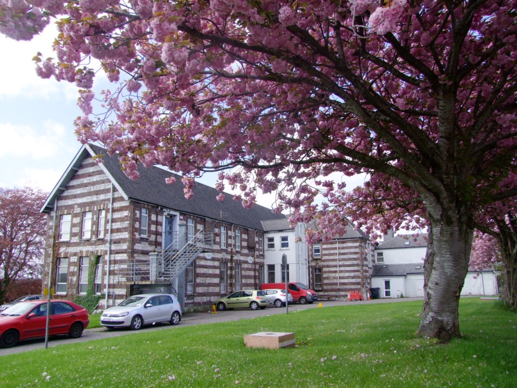 Historical walking tour with Cllr Kieran McCarthy, St. Finbarr's Hospital, Cork, 16 April 2011