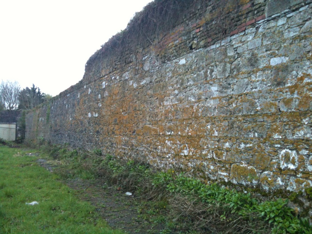 Remnants of Workhouse Boundary Wall, St. Finbarr's Hospital, Cork, April 2011 