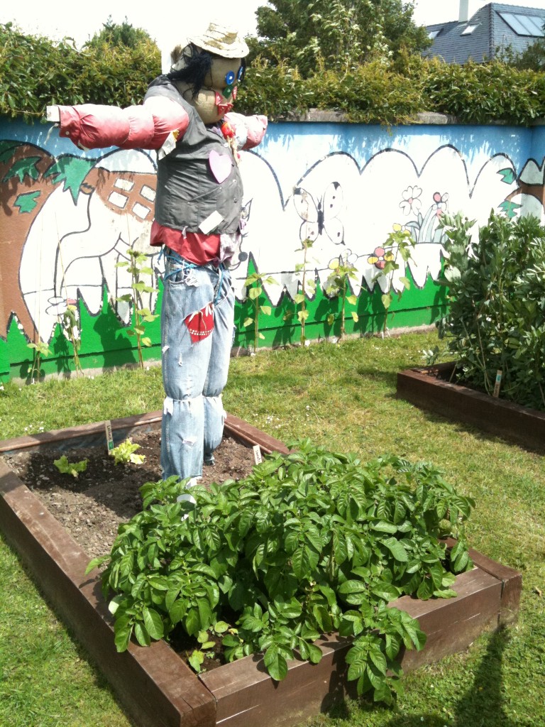 Scoil Ursula School Garden