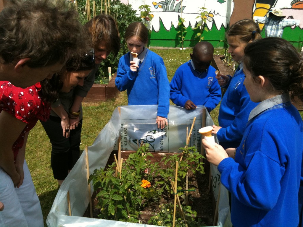 Scoil Ursula School Garden