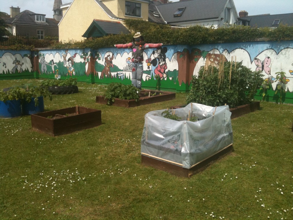 Scoil Ursula School Garden