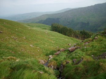 620a Baby River Lee in Gougane Barra forest park