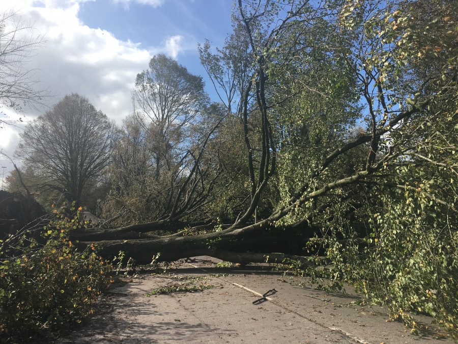 Storm Ophelia, damage on Centre Park Road, Cork, 16 October 2017