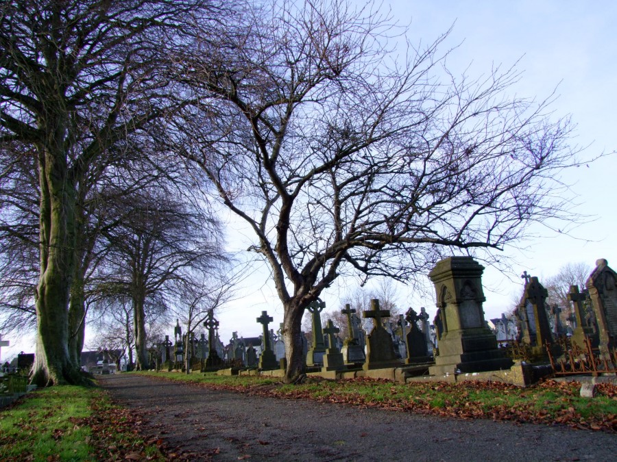 920a. St Finbarr’s Cemetery, present day