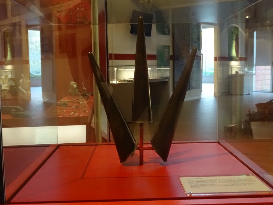 1000a. The Cork Horns on display in the Cork Public Museum