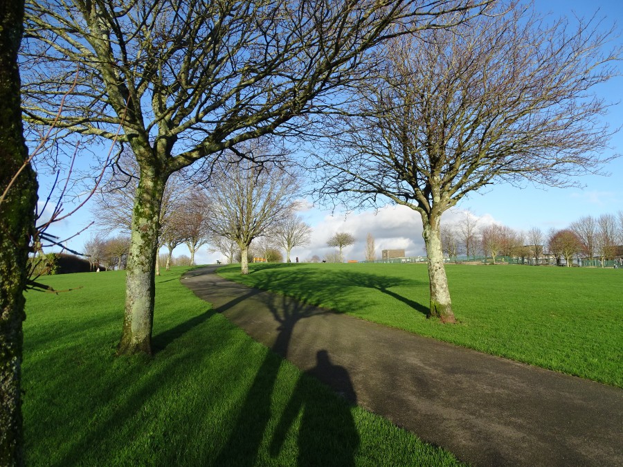 Beaumont Park, Cork by Cllr Kieran McCarthy, 12 January 2020