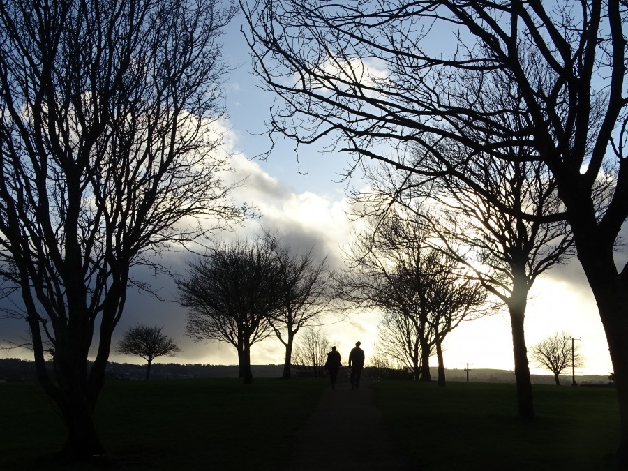 Beaumont Park, Cork by Cllr Kieran McCarthy, 12 January 202010.