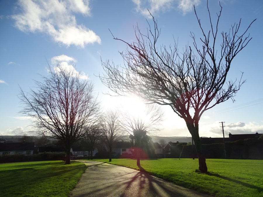 Beaumont Park, Cork by Cllr Kieran McCarthy, 12 January 2020