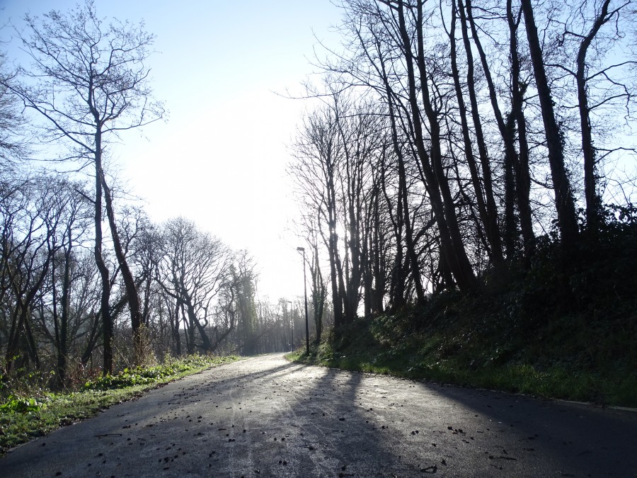 Ballybrack Woods & Mangala Walk, Douglas, Cork, 18 January 2020