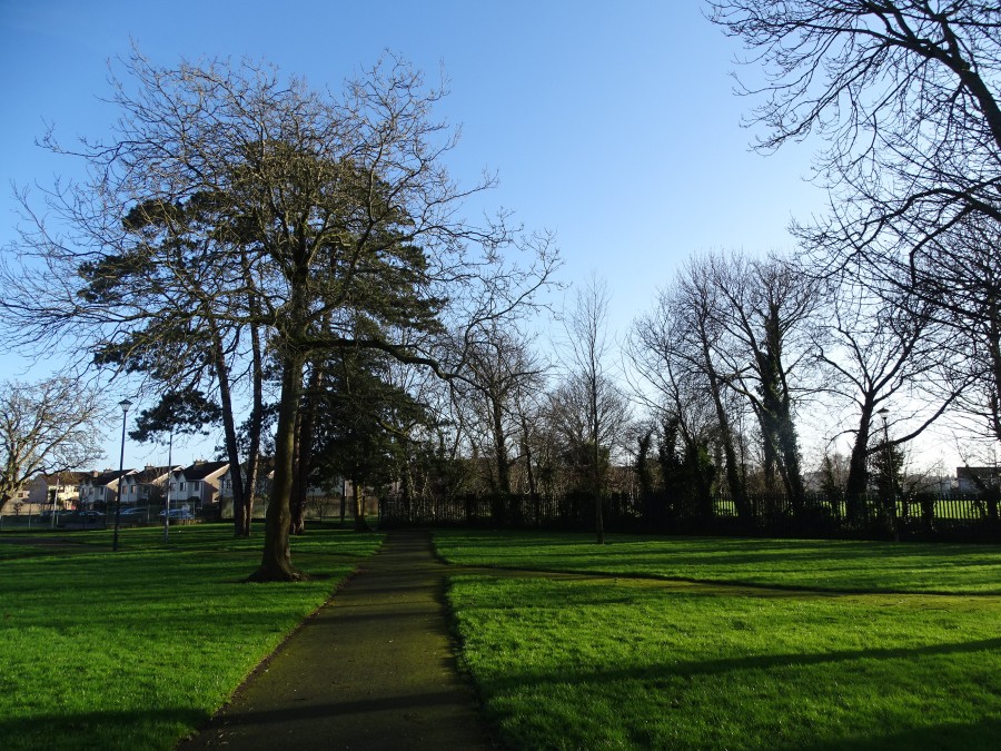 Loughmahon Park, Mahon, Cork, 19 January 2020