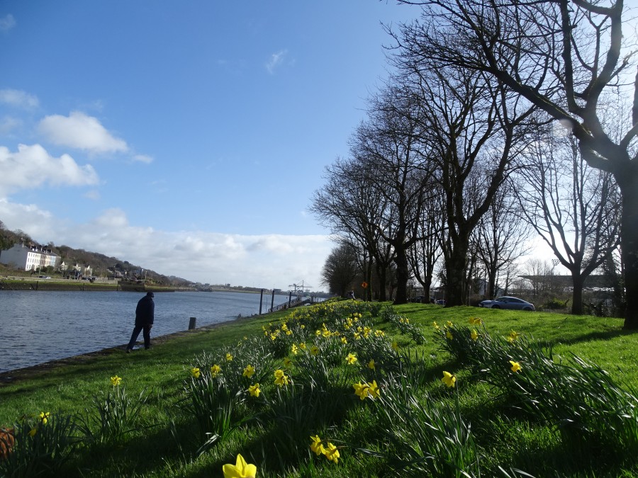 Spring at The Marina, Cork, 8 March 2020