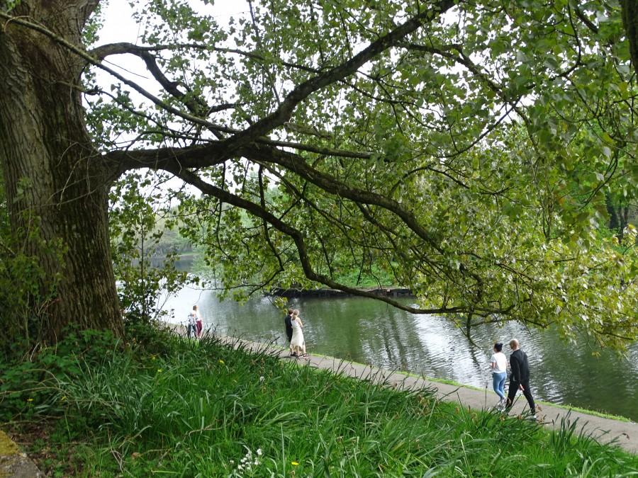 Atlantic Pond, 1 May 2020