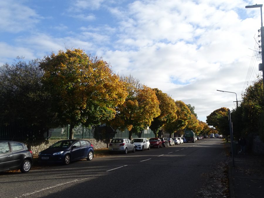 Autumn on Boreenmanna Road, Cork 2020