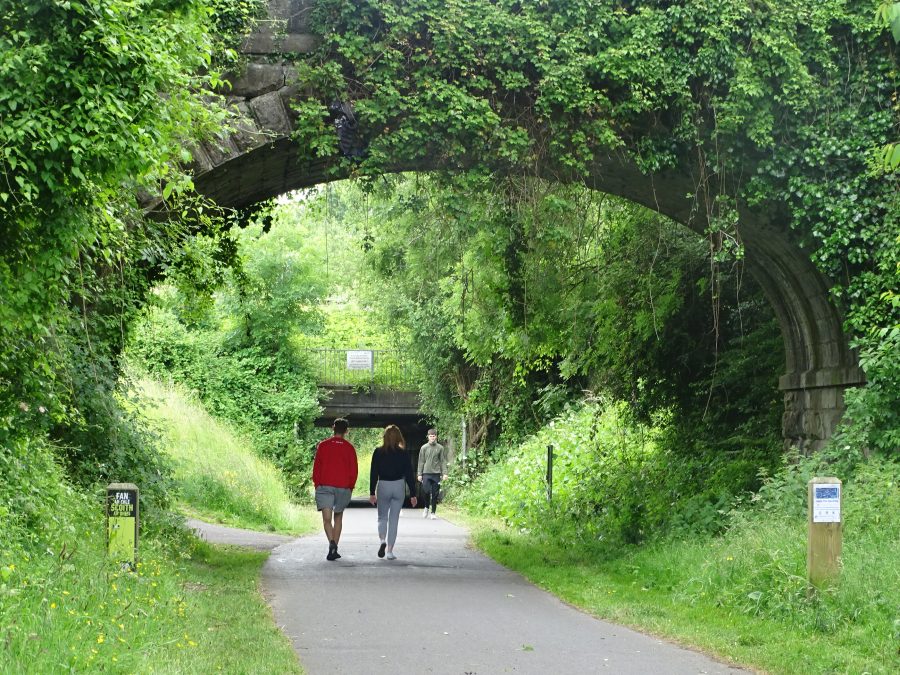 Summer at Old Railway Line Walk, Cork (picture: Kieran McCarthy)