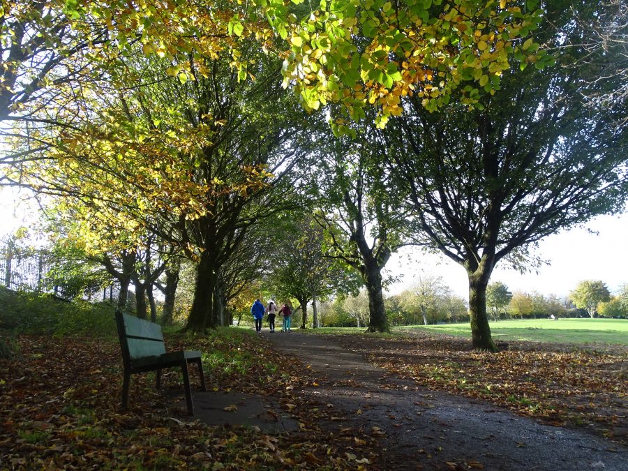 Autumn at Beaumont Park, Cork (picture: Kieran McCarthy)