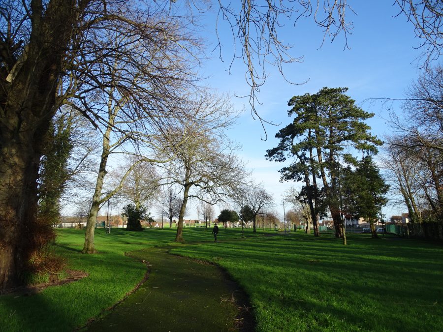 Winter at Loughmahon Park, Mahon (picture: Kieran McCarthy)