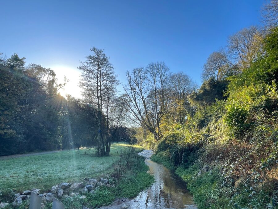 Site of Mangala Bridge Proposal by the NTA (picture: Kieran McCarthy)