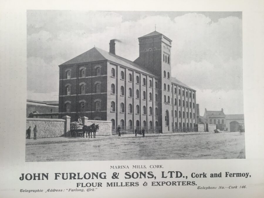 1201a. Marina Flour Mills, South Docks, Cork, 1919, from Cork: Its Chamber and Commerce (source: Cork City Library).