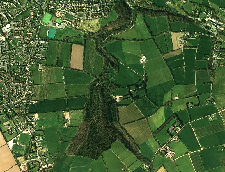 Aerial photography of Old Court Woods, Garryduff (picture: OSI)