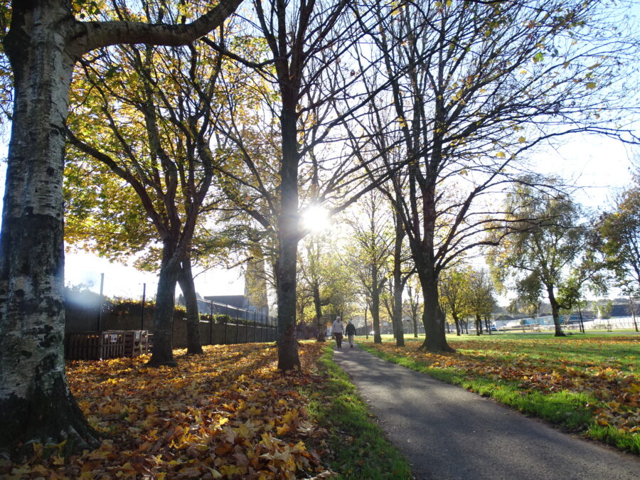 Autumn at Douglas Community Park, present day (picture: Kieran McCarthy)