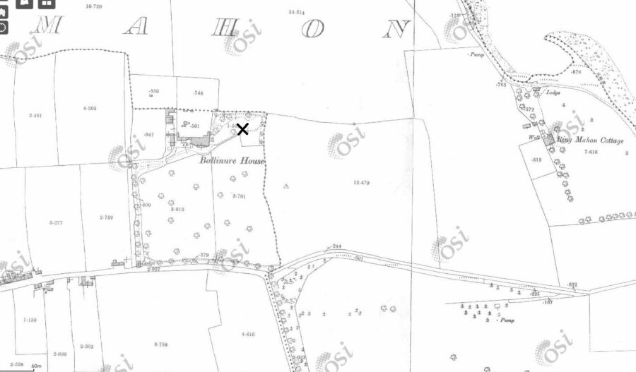 Map of Ballinure House and estate, Blackrock, c.1910 (source: OSI)