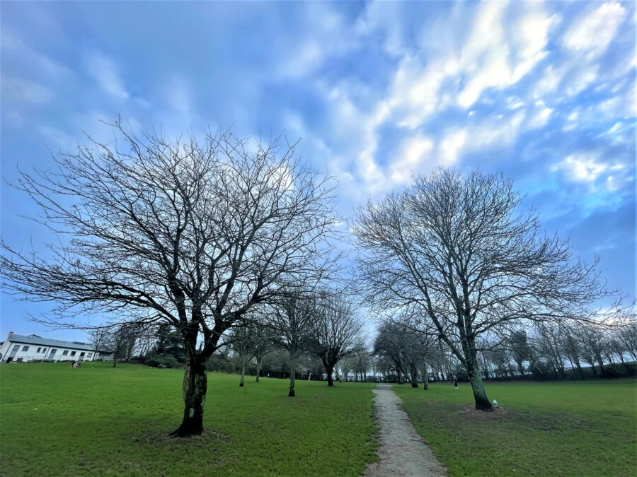 Winter at Clover Hill Park, present day (picture: Kieran McCarthy)