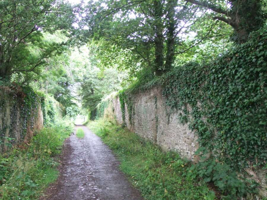Former road within Lakelands estate, present day (picture: Kieran McCarthy)