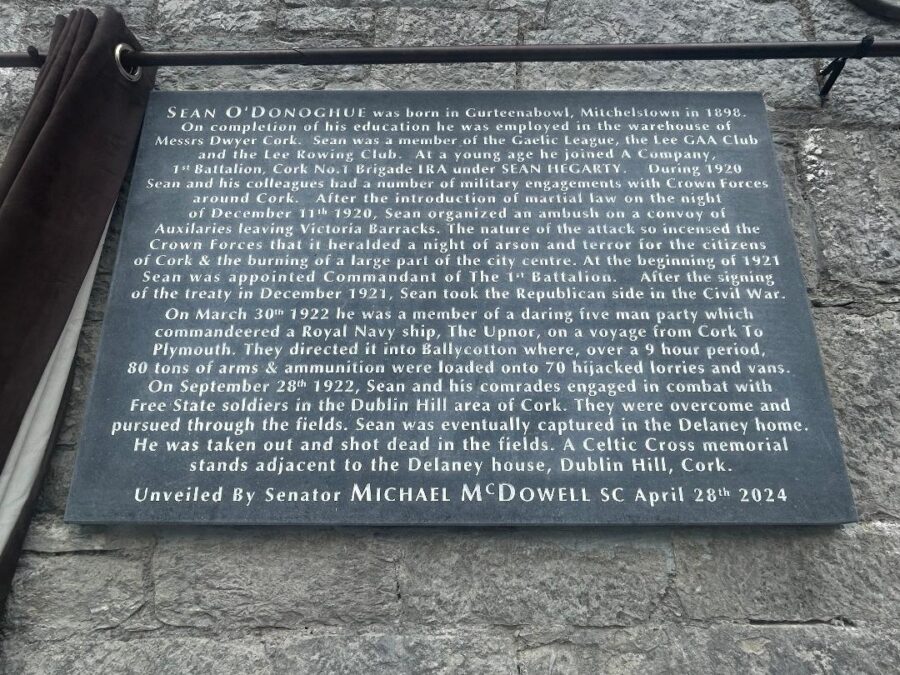 1252a. New memorial to Seán O'Donoghue, Ballygiblin, Mitchelstown (picture: Kieran McCarthy).