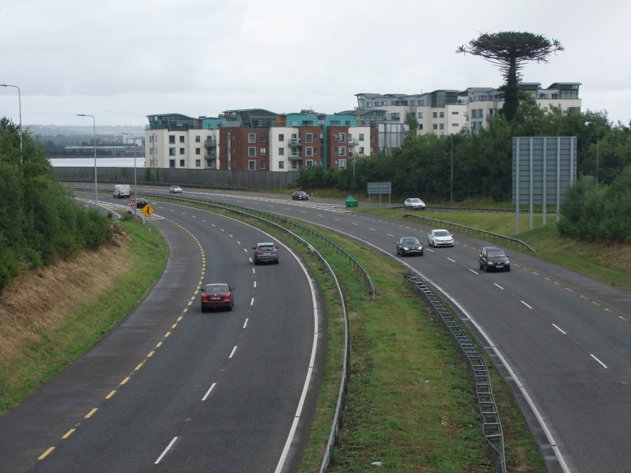 Mahon’s Monkey Puzzle Tree on Right, 2015 (picture: Cllr Kieran McCarthy)